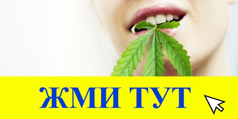 Купить наркотики в Судаке